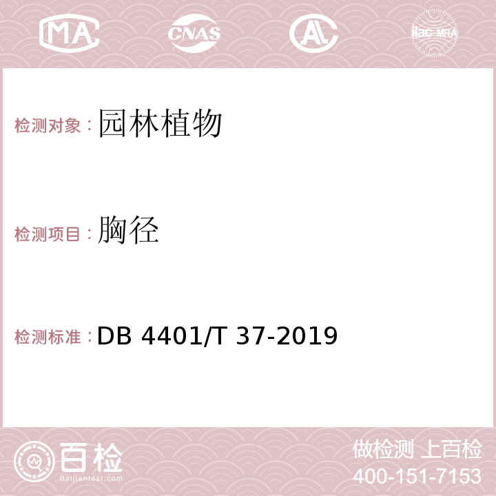 胸径 DB 4401/T 37-2019 园林绿化植物材料 