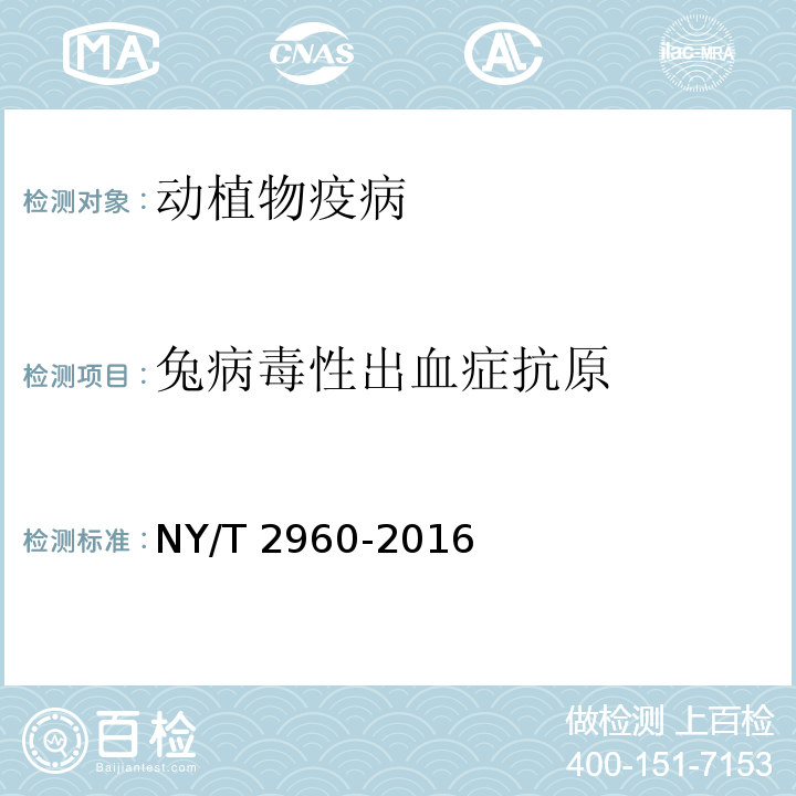 兔病毒性出血症抗原 兔病毒性出血病病毒RT-PCR检测方法 NY/T 2960-2016