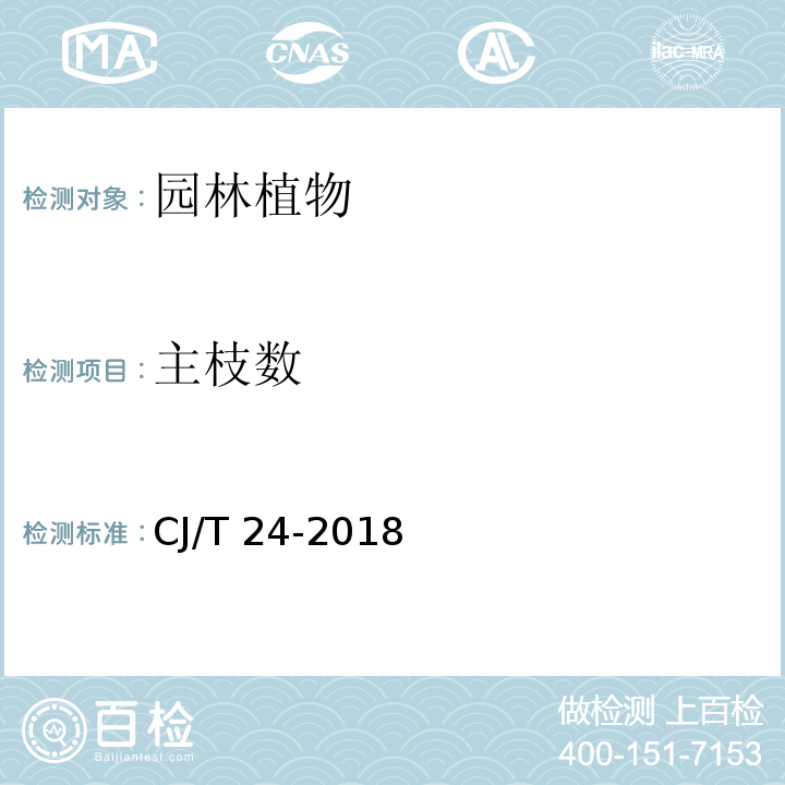 主枝数 CJ/T 24-2018 园林绿化木本苗