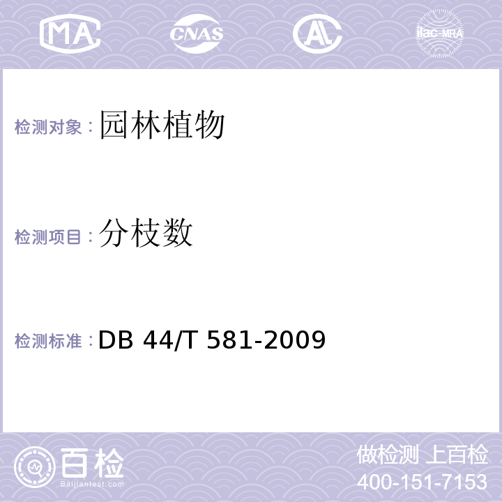 分枝数 广东城市绿化工程施工和验收范 DB 44/T 581-2009