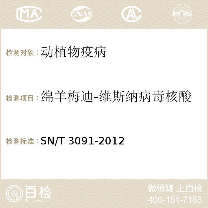绵羊梅迪-维斯纳病毒核酸 梅迪-维斯纳病检疫规程 SN/T 3091-2012