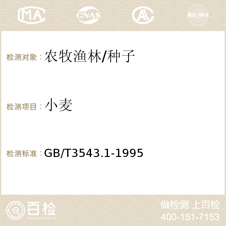小麦 GB/T 3543.1-1995 农作物种子检验规程 总则