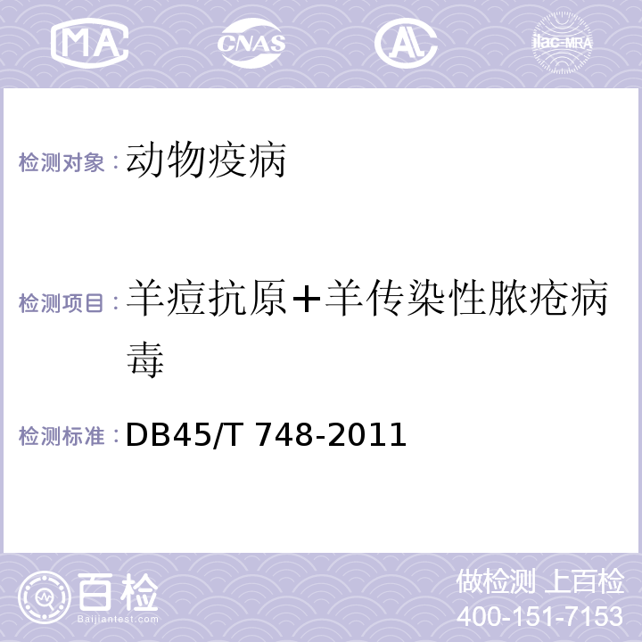 羊痘抗原+羊传染性脓疮病毒 山羊痘病毒、羊传染性脓疮病毒的检测二重聚合酶链反应法（DB45/T 748-2011）