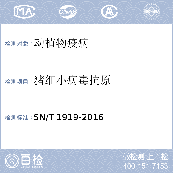 猪细小病毒抗原 猪细小病毒病检疫技术规范 SN/T 1919-2016