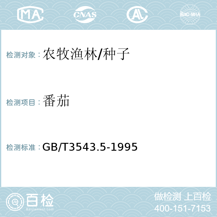 番茄 GB/T 3543.5-1995 农作物种子检验规程 真实性和品种纯度鉴定(附标准修改单1)