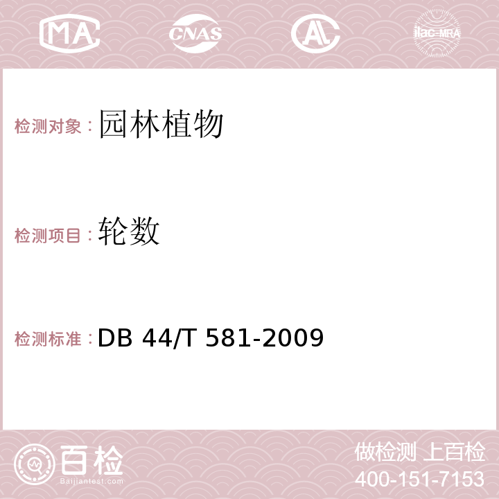 轮数 广东城市绿化工程施工和验收范 DB 44/T 581-2009