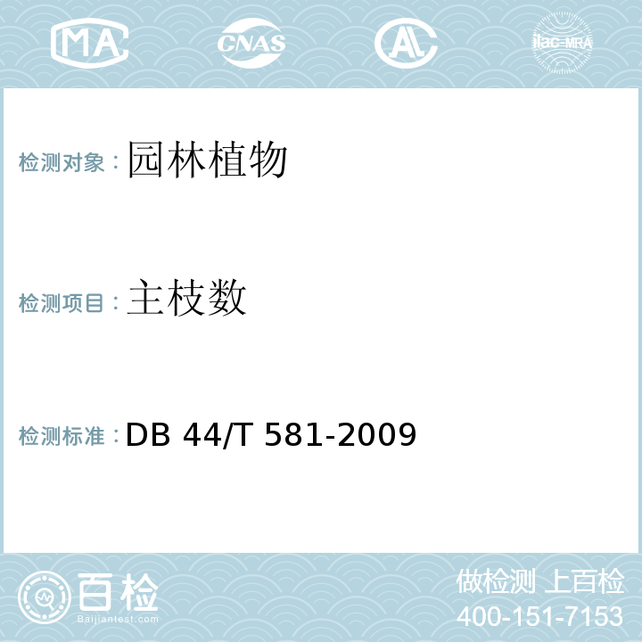主枝数 DB 44/T 581-2009 广东城市绿化工程施工和验收范 