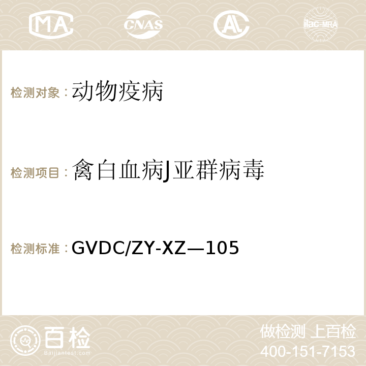 禽白血病J亚群病毒 GVDC/ZY-XZ—105 禽白血病病毒J 亚群病毒检测方法实施细则（）