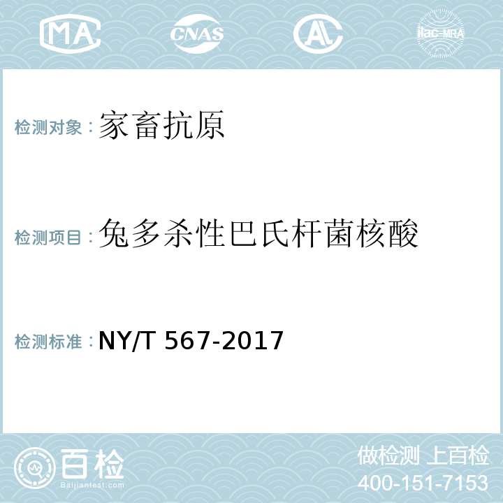 兔多杀性巴氏杆菌核酸 NY/T 567-2017 兔出血性败血症诊断技术