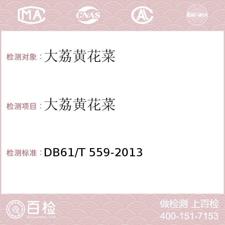 大荔黄花菜 地理标志产品 大荔黄花菜 DB61/T 559-2013
