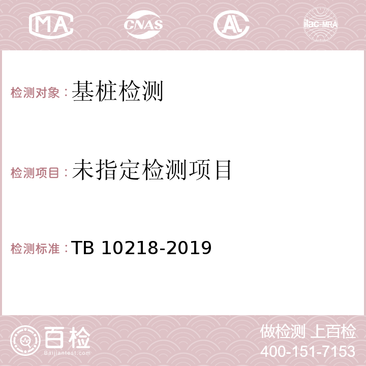 铁路工程基桩检测技术规程 TB 10218-2019