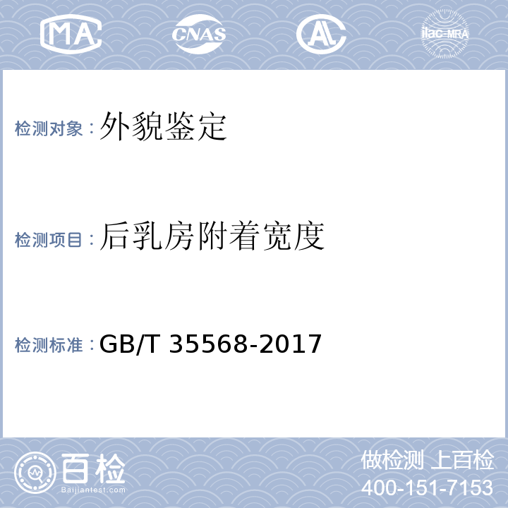 后乳房附着宽度 GB/T 35568-2017 中国荷斯坦牛体型鉴定技术规程