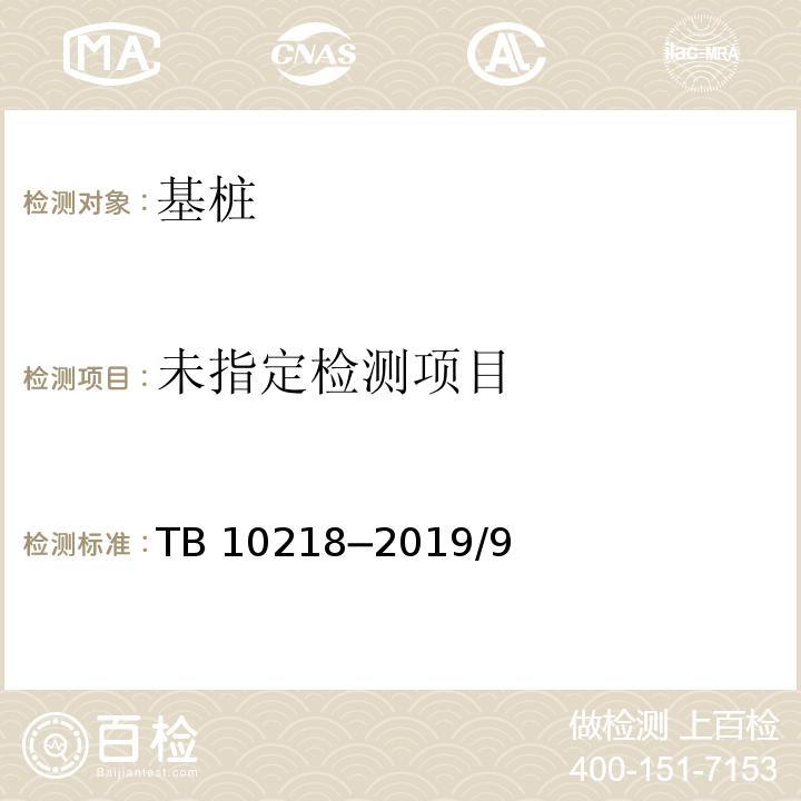  TB 10218-2019 铁路工程基桩检测技术规程(附条文说明)