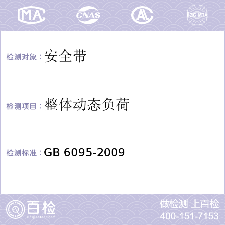 整体动态负荷 安全带 GB 6095-2009