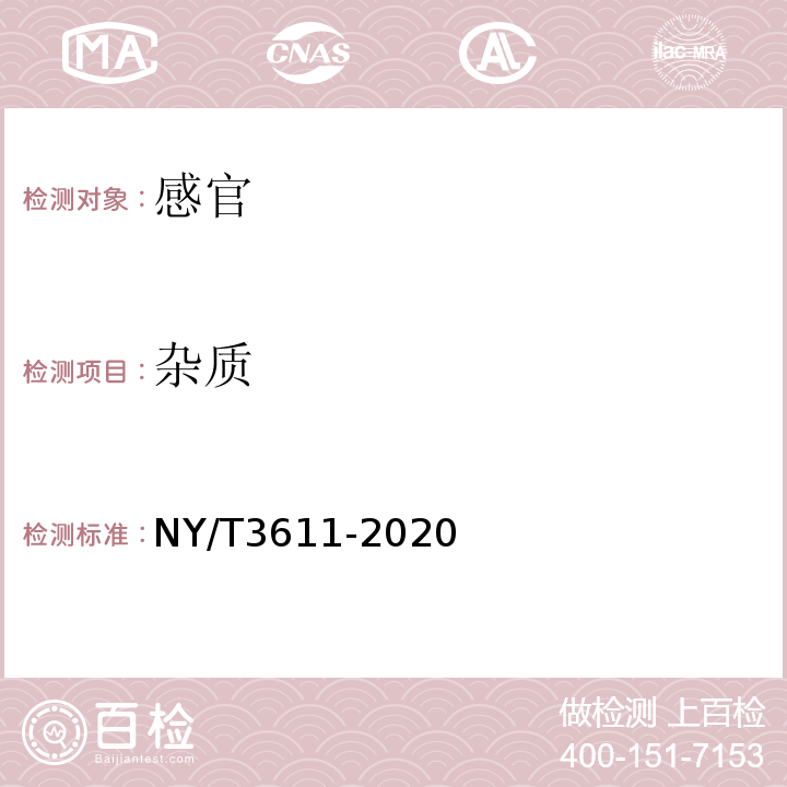 杂质 NY/T 3611-2020 甘薯全粉
