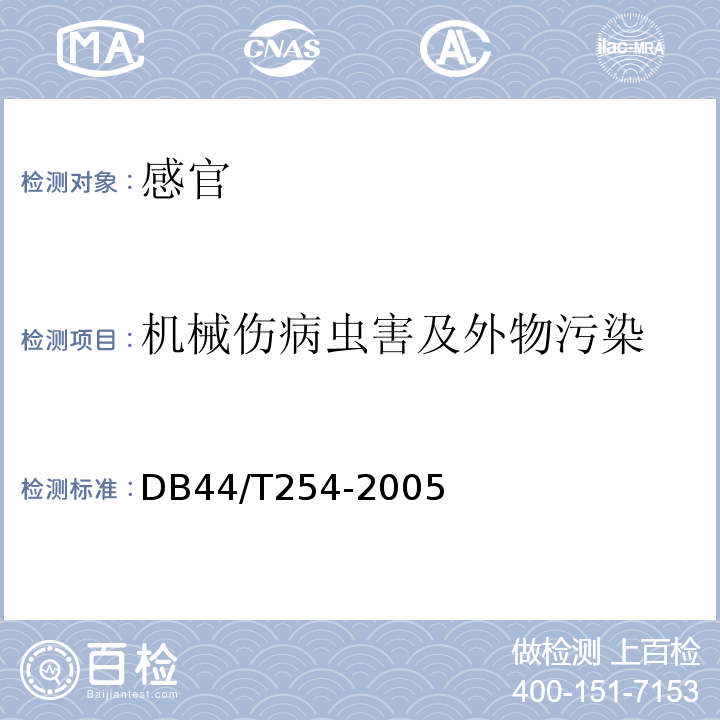 机械伤病虫害及外物污染 DB44/T 254-2005 郁南无核黄皮