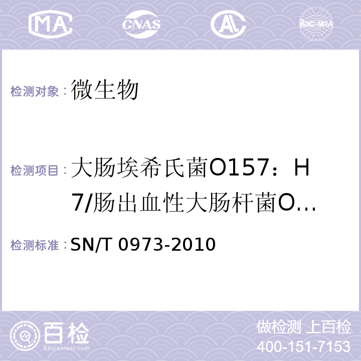 大肠埃希氏菌O157：H7/肠出血性大肠杆菌O157：H7 进出口肉、肉制品及其他食品中肠出血性大肠杆菌O157：H7检测方法 SN/T 0973-2010