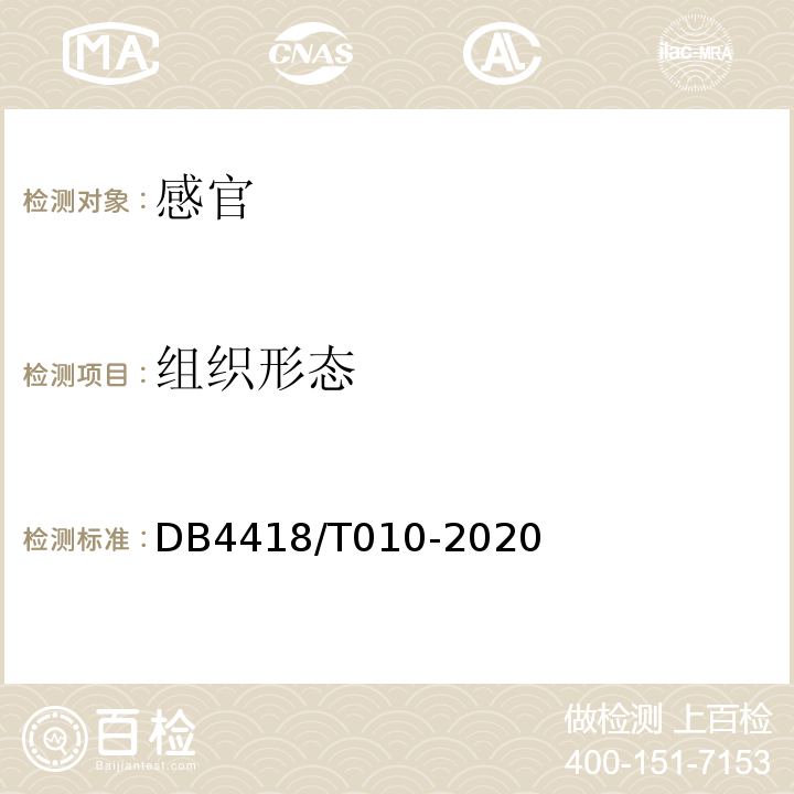 组织形态 DB 4418/T 010-2020 地理标志产品连山大肉姜DB4418/T010-2020中6.2