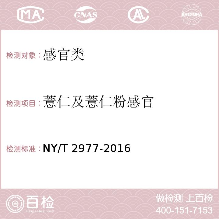 薏仁及薏仁粉感官 NY/T 2977-2016 绿色食品 薏仁及薏仁粉