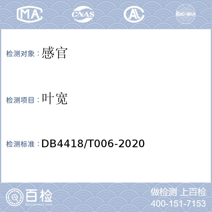 叶宽 地理标志产品西牛麻竹叶DB4418/T006-2020中7.2.1