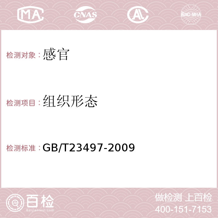 组织形态 GB/T 23497-2009 鱿鱼丝