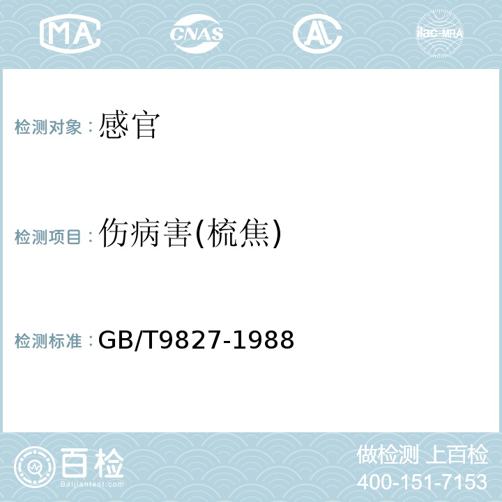 伤病害(梳焦) GB/T 9827-1988 香蕉