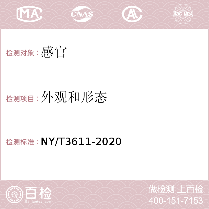 外观和形态 NY/T 3611-2020 甘薯全粉
