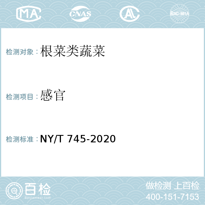 感官 绿色食品 根菜类蔬菜 NY/T 745-2020