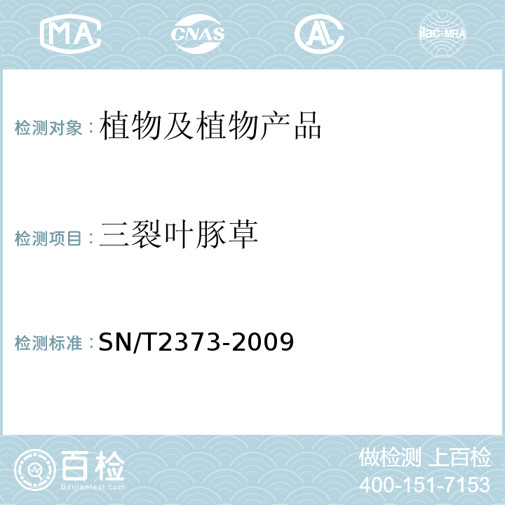 三裂叶豚草 豚草属检疫鉴定方法SN/T2373-2009