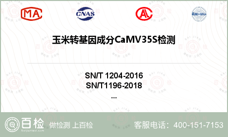 玉米转基因成分CaMV35S检测