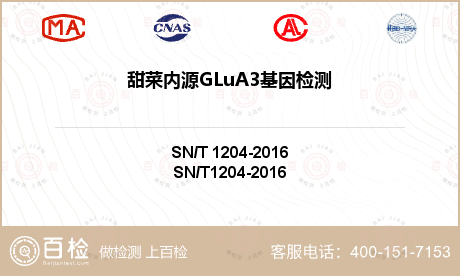 甜菜内源GLuA3基因检测