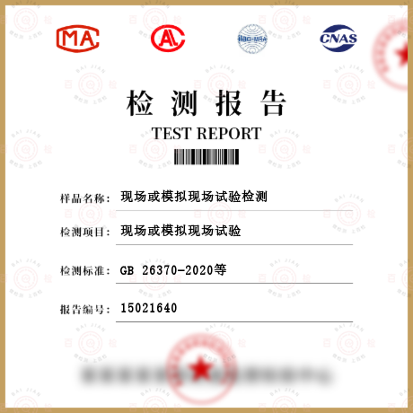 現場或模擬現場試驗檢測