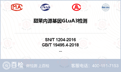 甜菜内源基因GLuA3检测