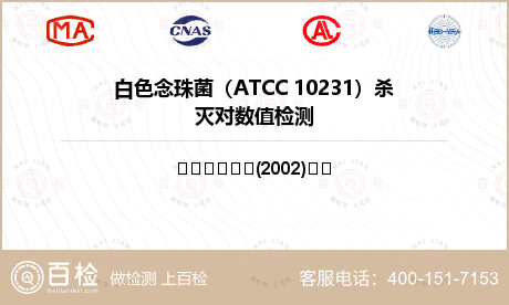 白色念珠菌（ATCC 10231