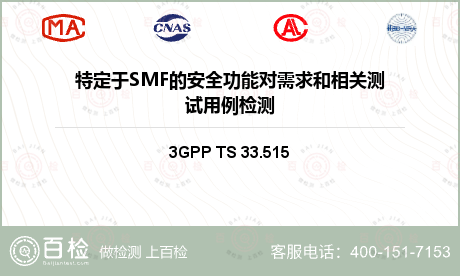 特定于SMF的安全功能对需求和相