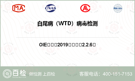 白尾病（WTD）病毒检测