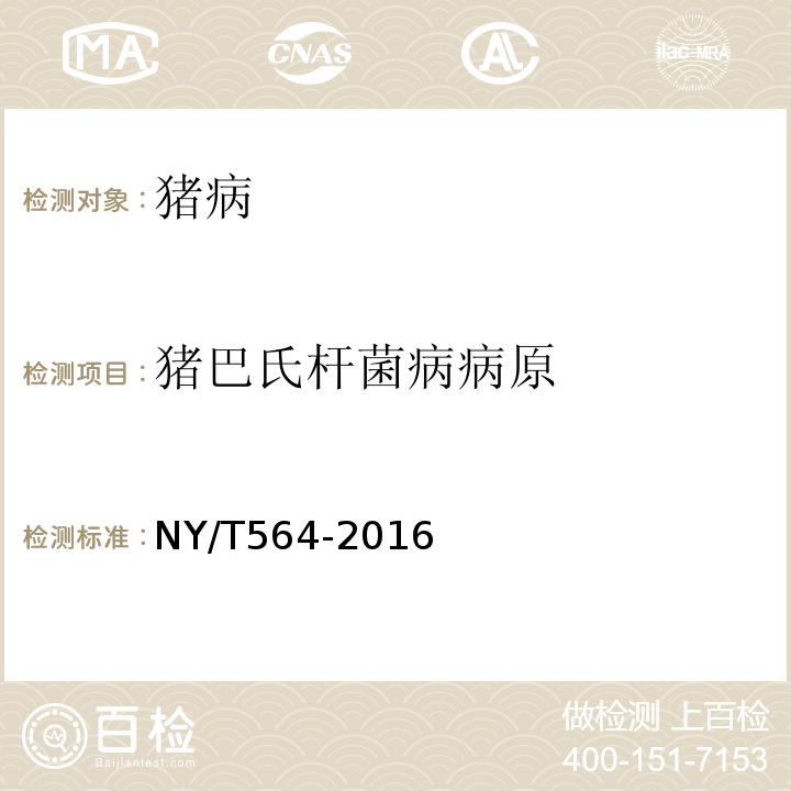 猪巴氏杆菌病病原 NY/T 564-2016 猪巴氏杆菌病诊断技术