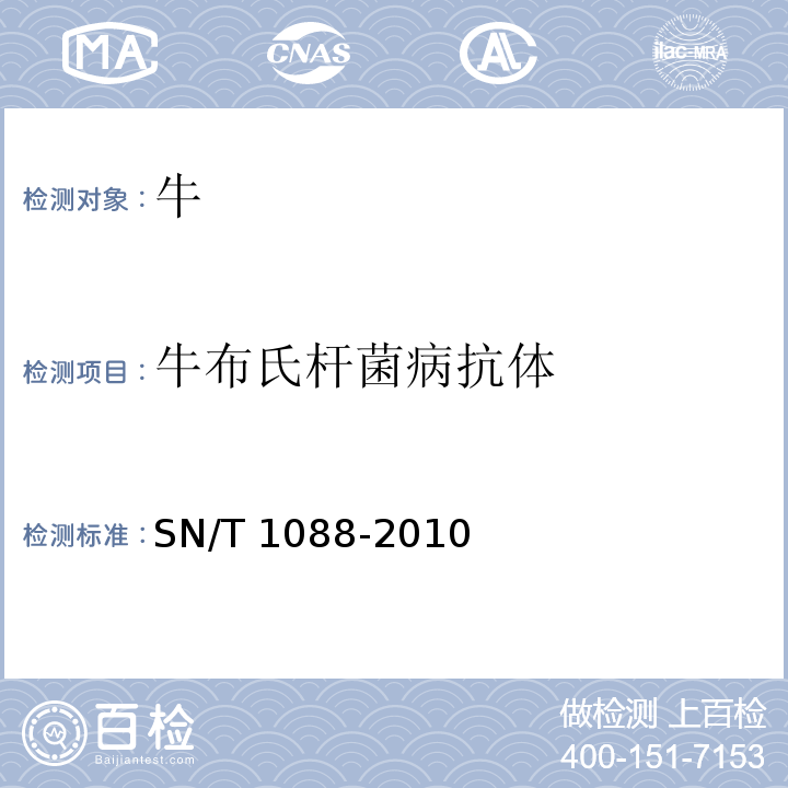 牛布氏杆菌病抗体 布氏杆菌检疫技术规范 SN/T 1088-2010