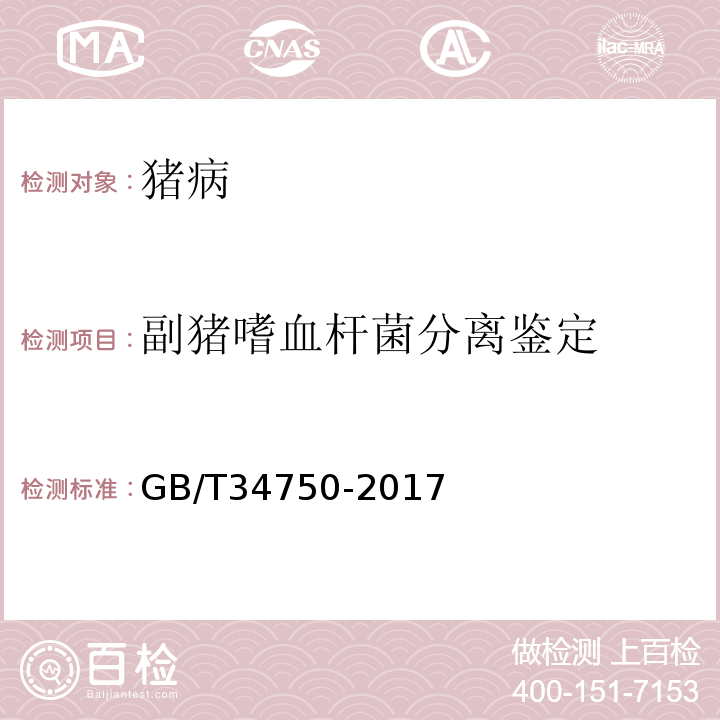 副猪嗜血杆菌分离鉴定 GB/T 34750-2017 副猪嗜血杆菌检测方法