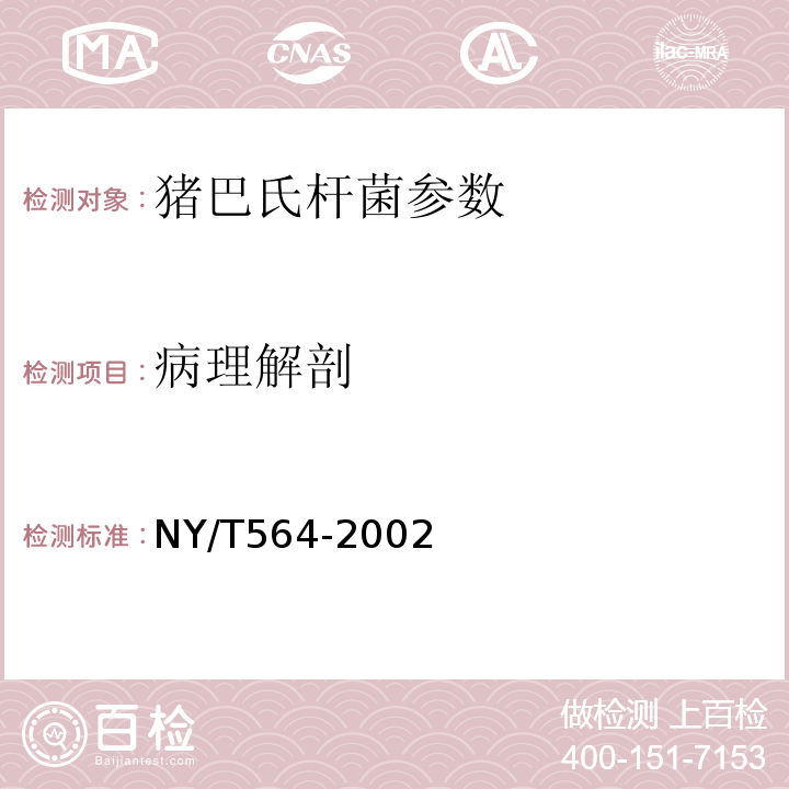 病理解剖 NY/T 564-2002 猪巴氏杆菌病诊断技术