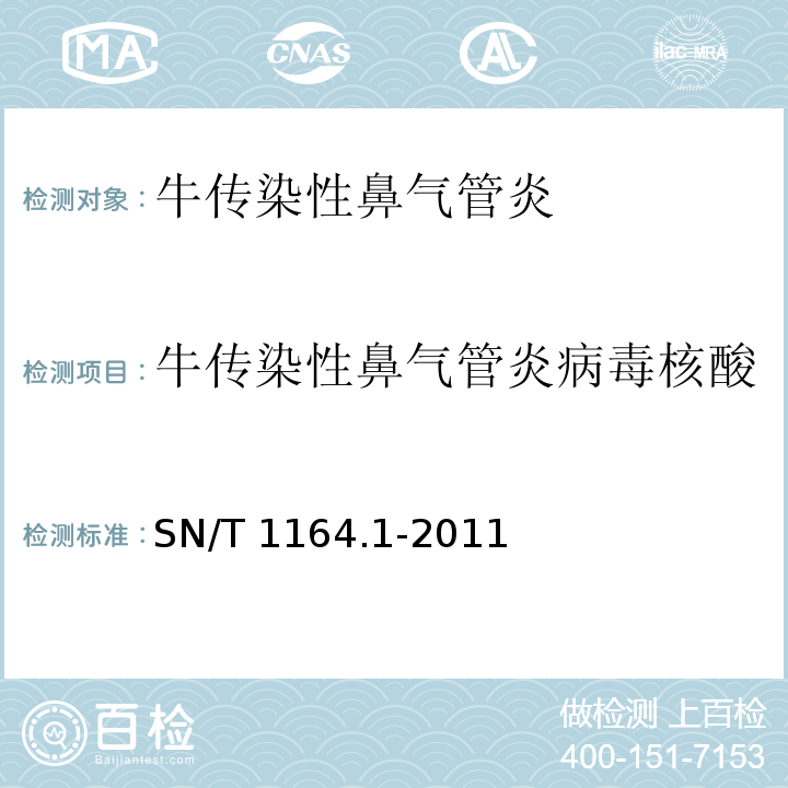 牛传染性鼻气管炎病毒核酸 牛传染性鼻气管炎检疫技术规范 SN/T 1164.1-2011