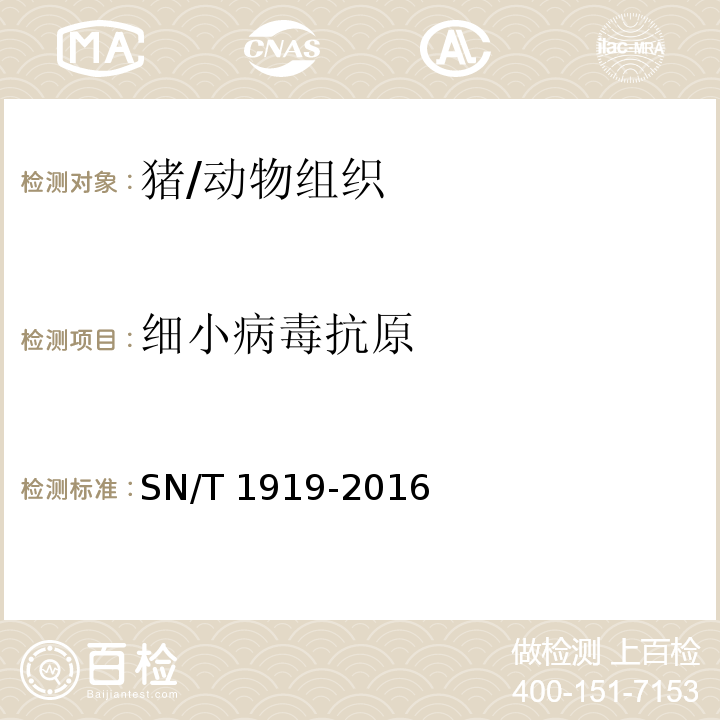 细小病毒抗原 SN/T 1919-2016 猪细小病毒病检疫技术规范