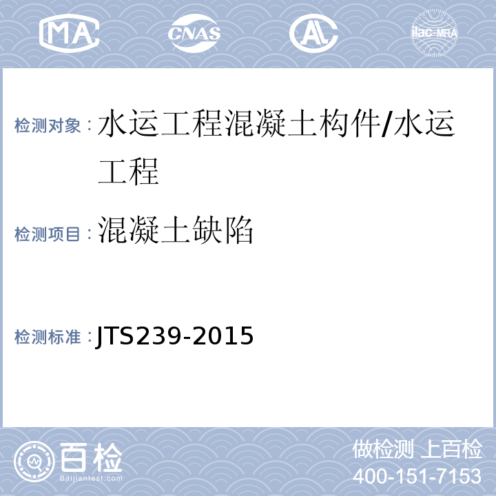 混凝土缺陷 水运工程混凝土结构实体检测技术规程 （4）/JTS239-2015