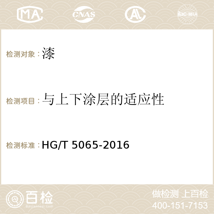 与上下涂层的适应性 建筑涂料用罩光清漆 HG/T 5065-2016（5.4.19）