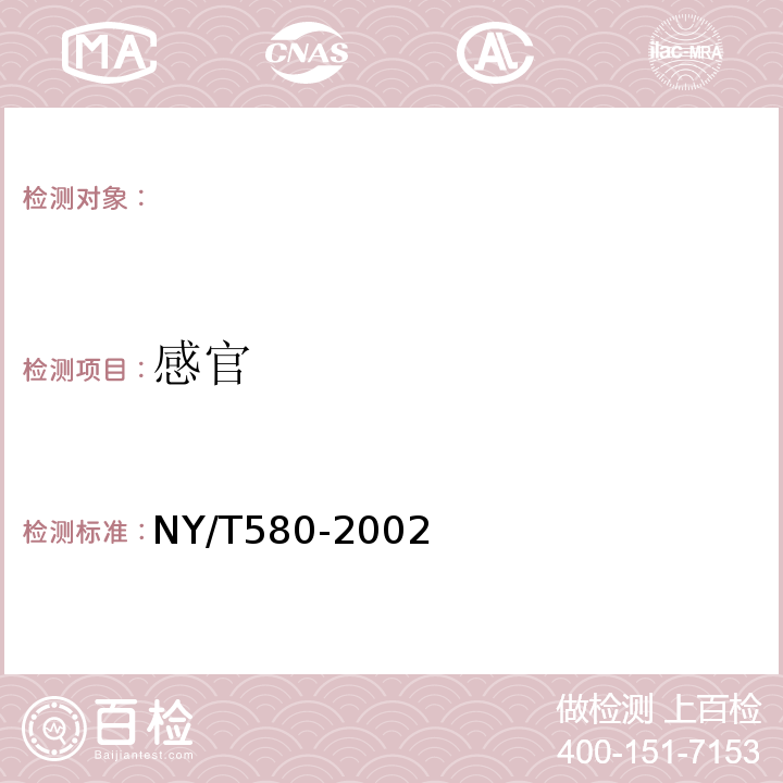 感官 芹菜NY/T580-2002