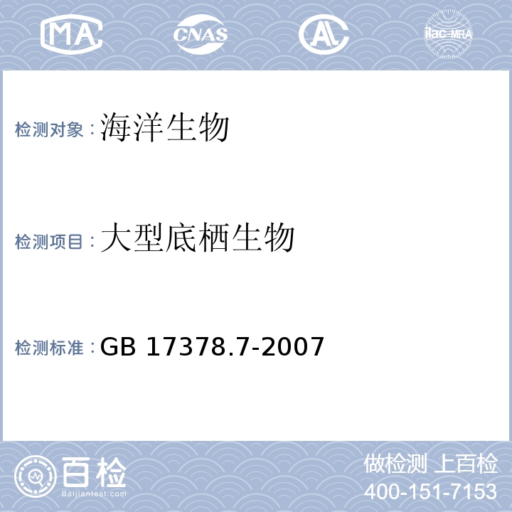 大型底栖生物 海洋监测规范 第7部分：近海污染生态调查和生物监测