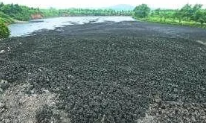 污泥检测，城镇污水处理厂污泥处置农业泥质
