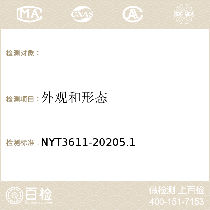 外观和形态 T 3611-2020 甘薯全粉NYT3611-20205.1