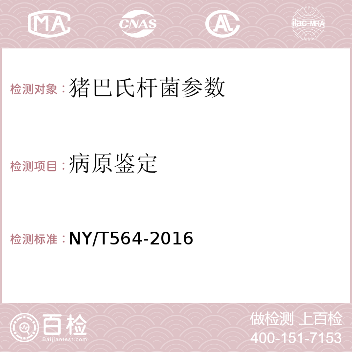 病原鉴定 NY/T 564-2016 猪巴氏杆菌病诊断技术