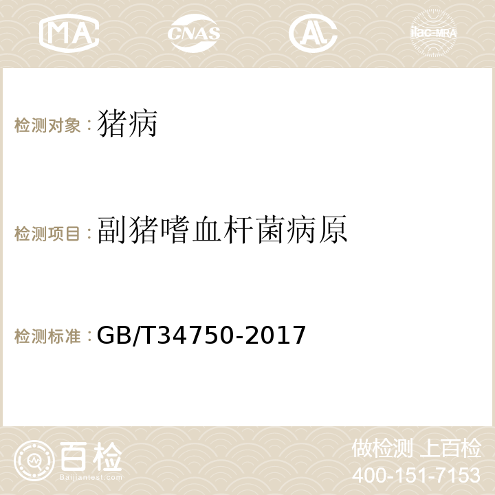 副猪嗜血杆菌病原 副猪嗜血杆菌检测方法 GB/T34750-2017